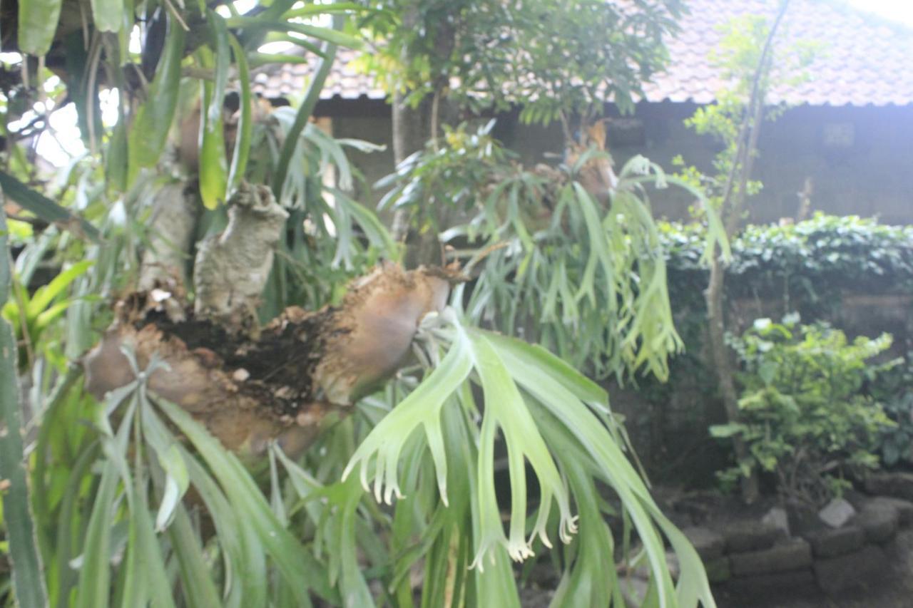 Umah De Arlika Ubud Esterno foto