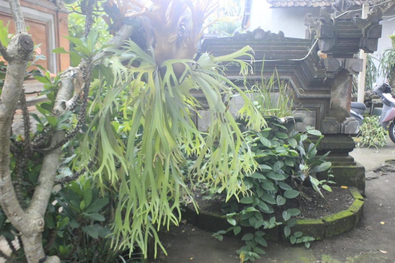 Umah De Arlika Ubud Esterno foto